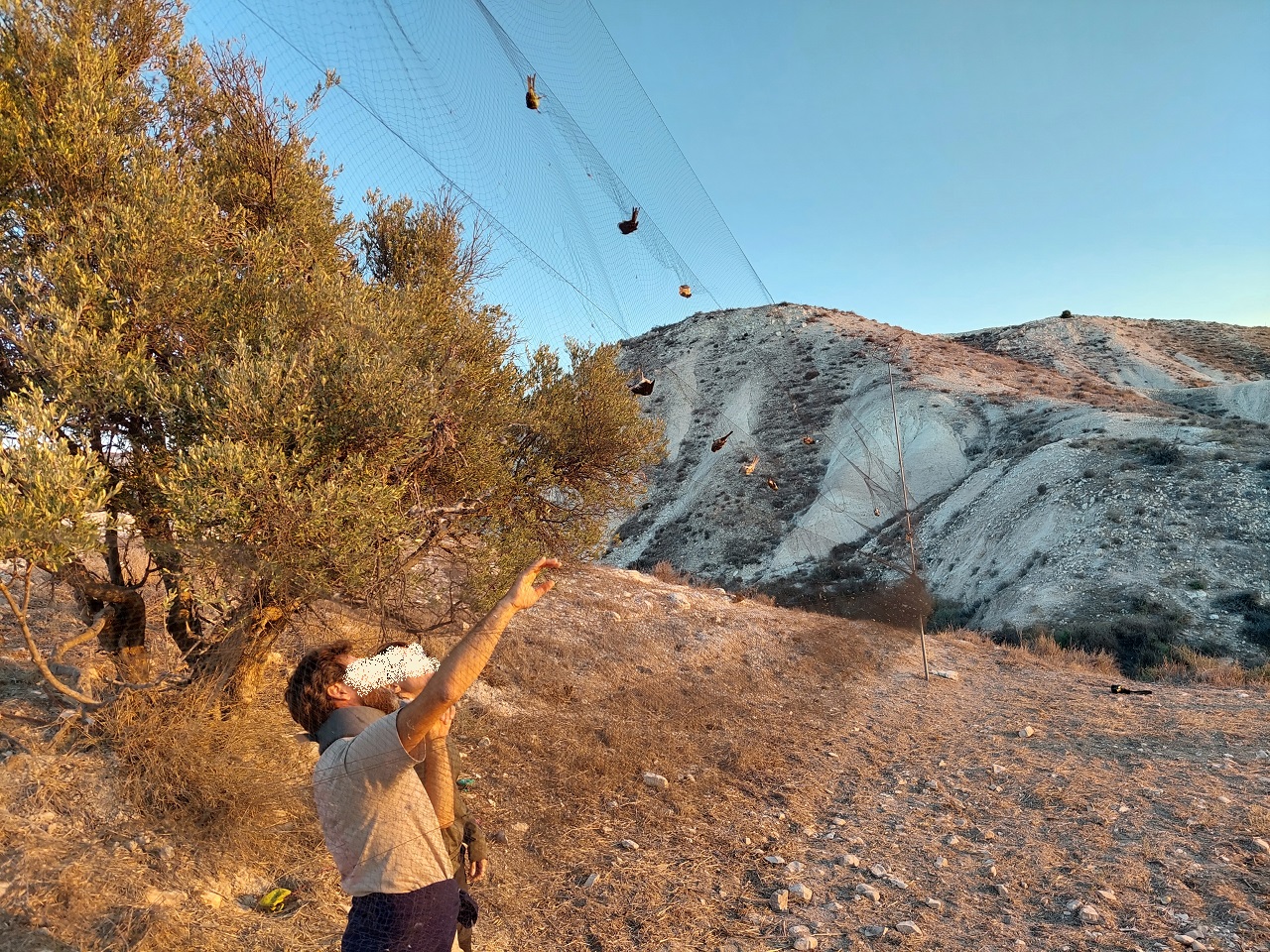 2nd Cyprus Report: As we secretly feared, the 'major pl - Bild 3